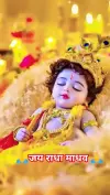 Radha Madhav Kunj Bihari Vrindavan Live Status Video 2026 Download