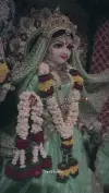Radha Rani Birth Celebration Devotional Status Video