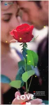 Rose Day 4K Status Video Download 🌹 | Happy Rose Day Valentine Purpose Day Shorts 2026