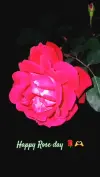 Rose Day Status Video Download 🌹❤️ | Love YouTube Shorts 2026