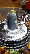 Shivling Abhishek Sacred Status Video 2026 Download