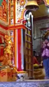 Shree Badrinath Dham Aarti Status Video Download 2026