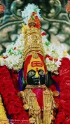 Shri Tulja Bhavani New Status Viral Status Hindu Ritual Status Video 2026 Download