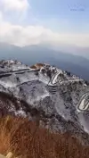 Silk Route Curving Paradise Zuluk Loops Status Video 2026 Download