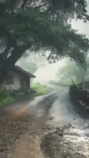 Simple Village Rain Day Status Video