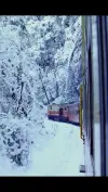 Snow Land Journey Darjeeling Train Status Video 2026 Download