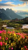 Spring Cinematic Nature Status Video Download 2026 HD