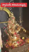 Swamiye Saranam Ayyappa New Viral Status Video 2026 Download