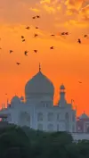 Taj Mahal India Wonderful Song Status Video 2026 Download