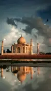 Taj Mahal Status Heartfelt Video 2026 Download