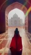Taj Mahal Sunrise Photography Status Video 2026 Download
