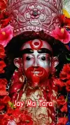 Tara Maa Status Maa Kali Bengali Status Video 2026 Download