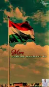 Tricolour Pride Republic Day Celebration Status Video
