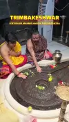 Trimbakeshwar Jyotirling Mandir Nashik Status Video 2026 Download