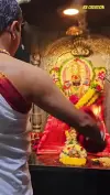 Tuljabhavani Aarti God Devotional Status Video 2026 Download