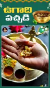 Ugadi Pachadi Interesting Facts Status Video 2026 Download