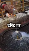 Ujjain Mahakal Bhasm Aarti Rahasya Status Video 2026 Download