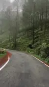 Uttarakhand Ranikhet Roads Heaven Status Video 2026 Download