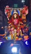Veena Swan Saraswati Puja Status Video