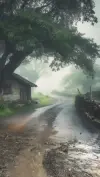 Village Rainy Day Calm Status