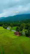 Wayanad Kerala Itinerary Status Video 2026 Download