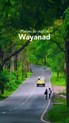 Wayanad Wonders Places to Visit Status Video 2026 Download